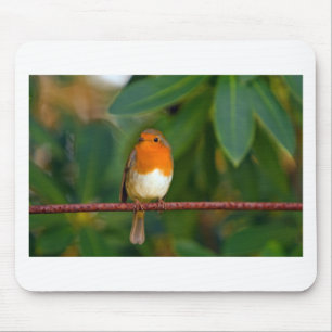 Christmas Robin Mouse Mat