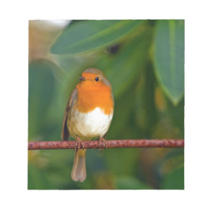 Christmas Robin Notepad