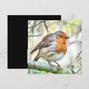 Christmas Robin Redbreast Winter Watercolor Invitation