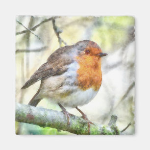 Christmas Robin Redbreast Winter Watercolor Magnet