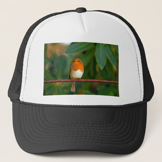 Christmas Robin Trucker Hat (Front)
