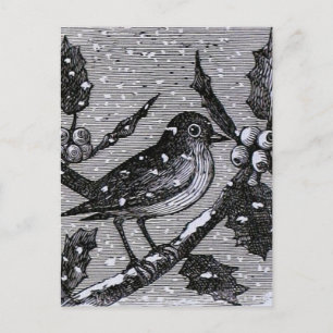Christmas Robin Vintage Engraving Holiday Postcard