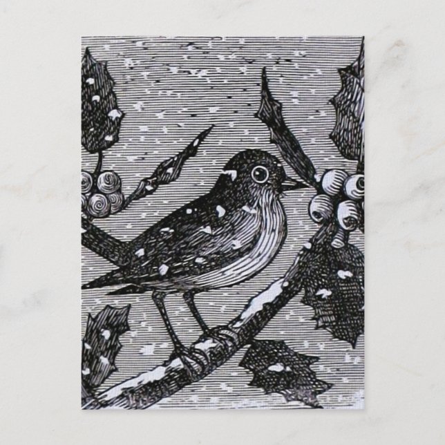 Christmas Robin Vintage Engraving Holiday Postcard (Front)