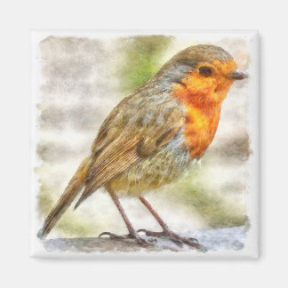 Christmas Robin Winter Watercolor Magnet