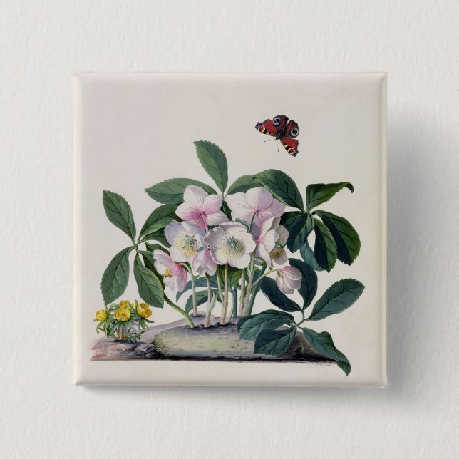 Christmas Rose (Helleborus niger) and Winter Aconi 15 Cm Square Badge (Front)