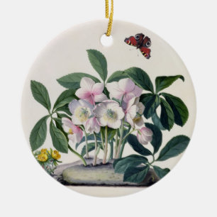 Christmas Rose (Helleborus niger) and Winter Aconi Ceramic Tree Decoration