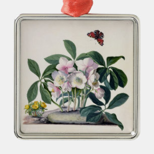 Christmas Rose (Helleborus niger) and Winter Aconi Metal Tree Decoration