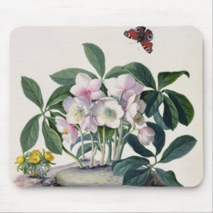 Christmas Rose (Helleborus niger) and Winter Aconi Mouse Mat