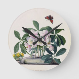 Christmas Rose (Helleborus niger) and Winter Aconi Round Clock
