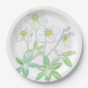 Christmas rose, Helleborus niger Illustration  Paper Plate