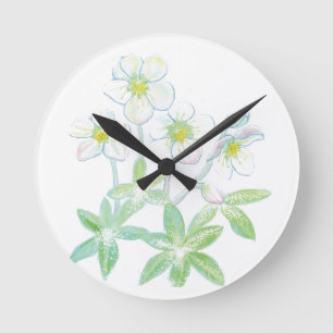 Christmas rose, Helleborus niger Illustration  Round Clock