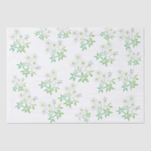 Christmas rose, Helleborus niger Tissue Paper