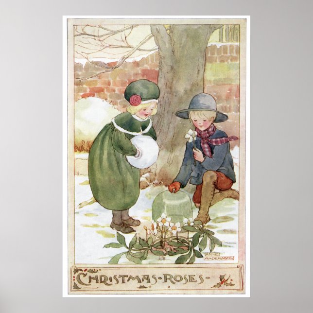 Christmas Roses by Anne Anderson Poster (Front)