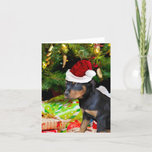 Christmas Rottweiler puppy Holiday Card