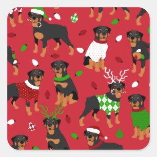 Christmas Rottweiler Square Sticker