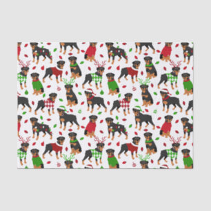 Christmas Rottweiler Tissue Paper