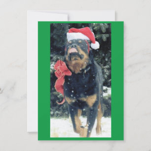 christmas rottweiler w/ santa hat, redbow, in snow invitation