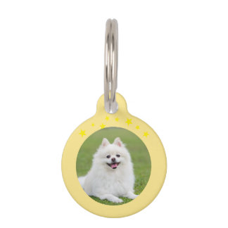 Christmas Round Pet Tag – Festive Holiday ID Tag