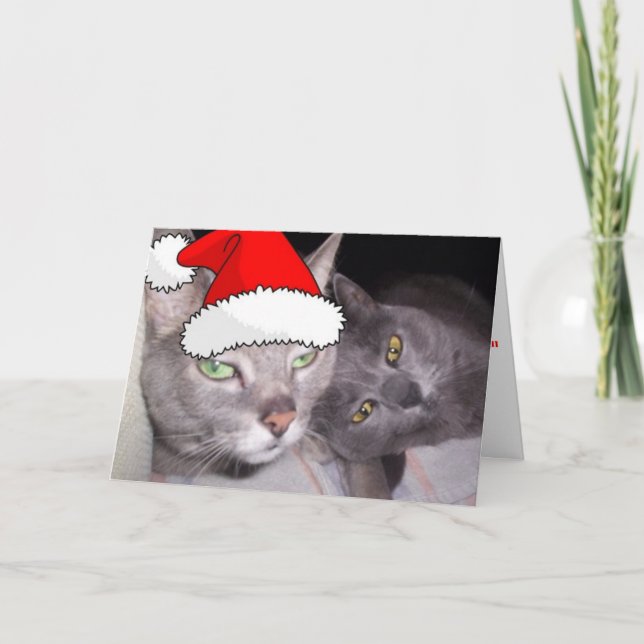 Christmas Russian Blue Gray Cats Holiday Card (Front)