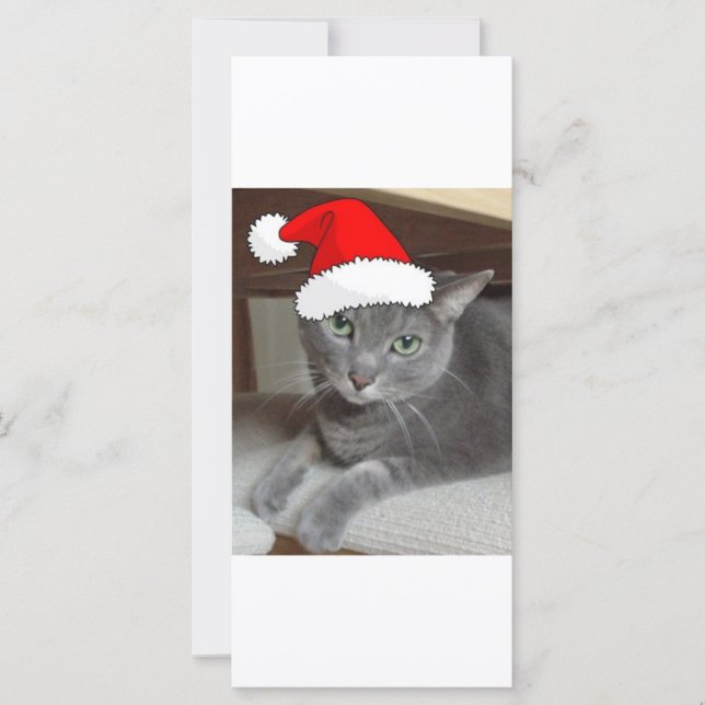 Christmas Russian Blue Grey Cat (Front)