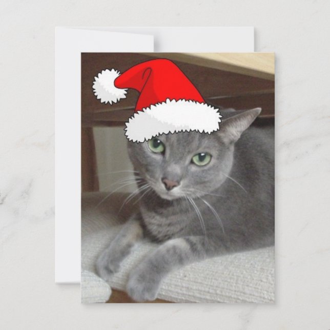 Christmas Russian Blue Grey Cat Holiday Card (Front)