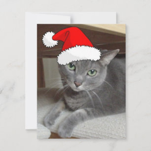 Christmas Russian Blue Grey Cat Holiday Card