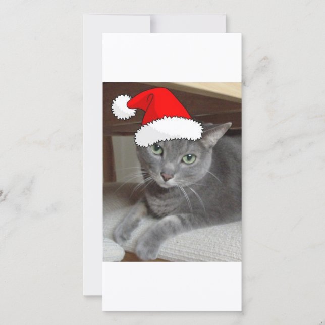 Christmas Russian Blue Grey Cat Holiday Card (Front)
