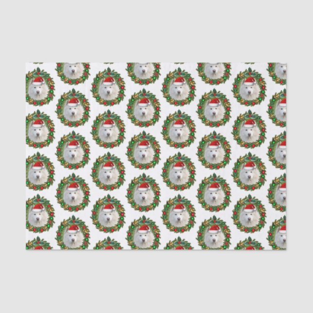 Christmas Samoyed dog tissue paper (Front)