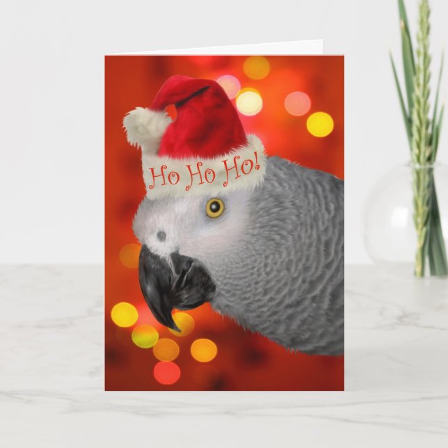 Christmas Santa African Grey Parrot Holiday Card (Front)