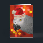 Christmas Santa African Grey Parrot Holiday Card<br><div class="desc">Fun Christmas card for the parrot lover featuring a festive red and multi-coloured bokeh background and an adorable African Grey Parrot in a Santa hat.</div>