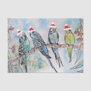 Christmas Santa Budgies Budgerigar Bird Card Tissue Paper