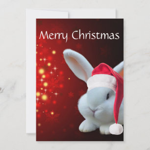Christmas Santa Bunny Flat Holiday Card