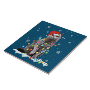 Christmas Santa Cat British Shorthair Cat Lover Tile