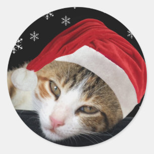 Christmas Santa Cat Stickers