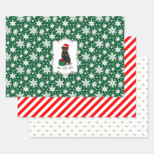 Christmas Santa Claus Hat Rottweiler Dog Funny Wrapping Paper Sheet