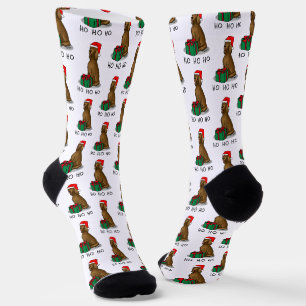 Christmas Santa Hat Irish Setter Dog (red 1) Cute Socks
