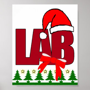 CHRISTMAS SANTA LABORATORY POSTER