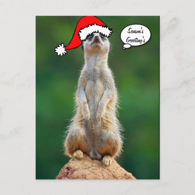 Christmas Santa prairie dog gopher postcard (Front)