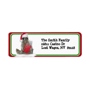 Christmas Santa Racoon Bandit
