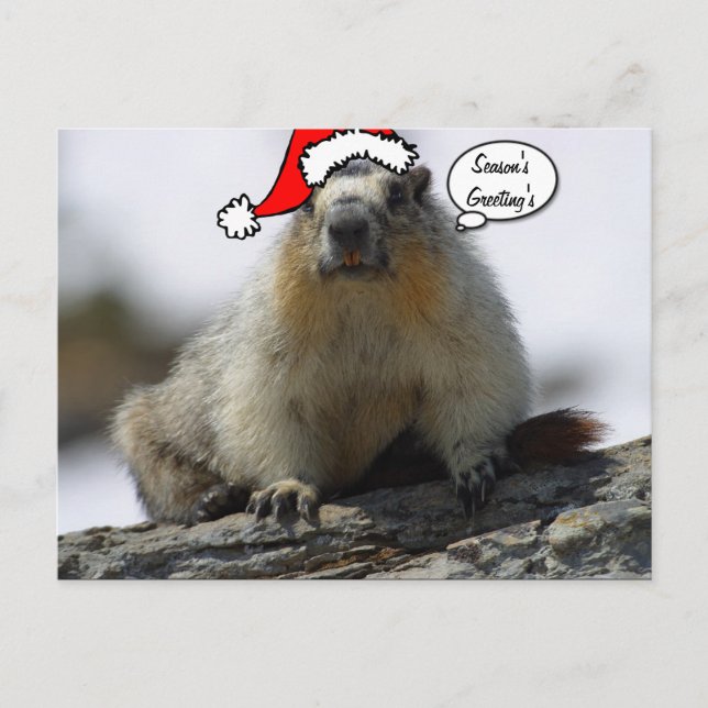 Christmas Santa Squirrel postcard (Front)