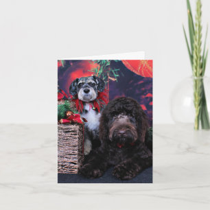 Christmas - Schnauzer Apache - Bowen LabraDoodle Holiday Card