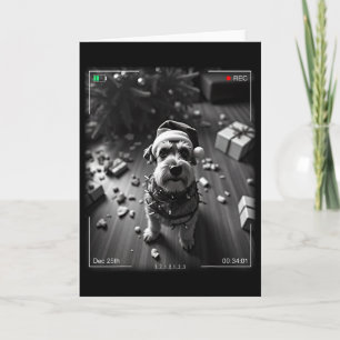 Christmas Schnauzer Caught On Camera  Card