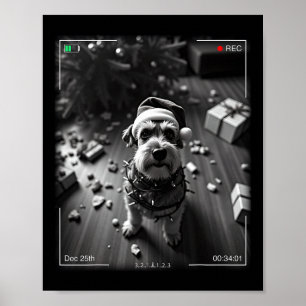 Christmas Schnauzer Caught On Camera Poster