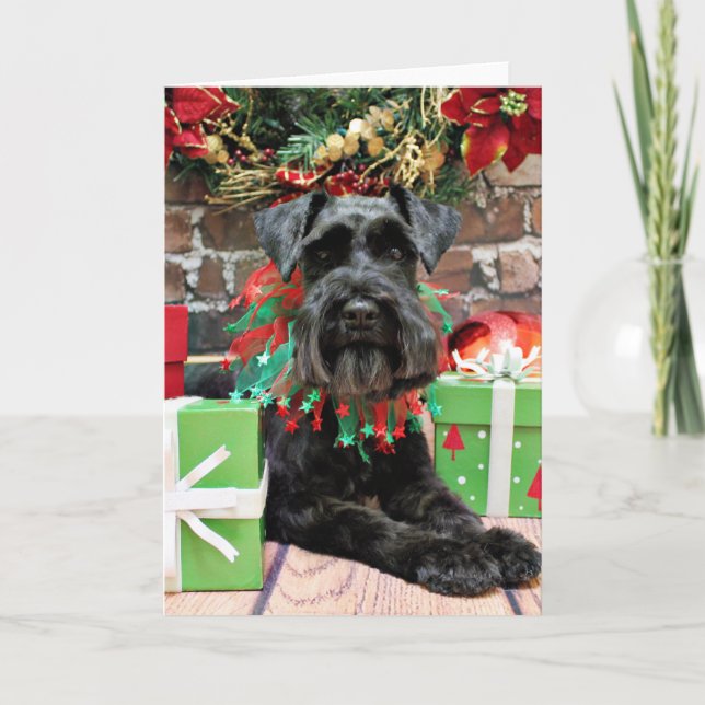 Christmas - Schnauzer - Fergie Holiday Card (Front)