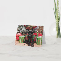 Christmas - Schnauzer Mix - Bentley
