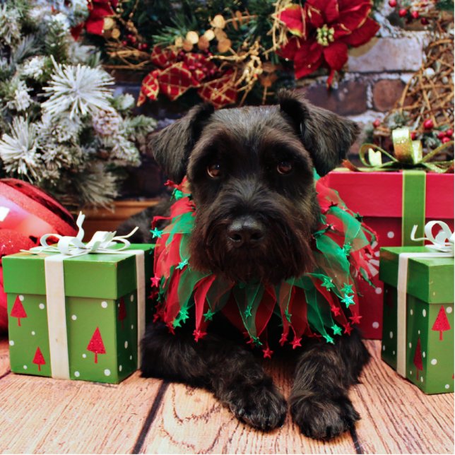 Christmas - Schnauzer Mix - Bentley Standing Photo Sculpture (Front)