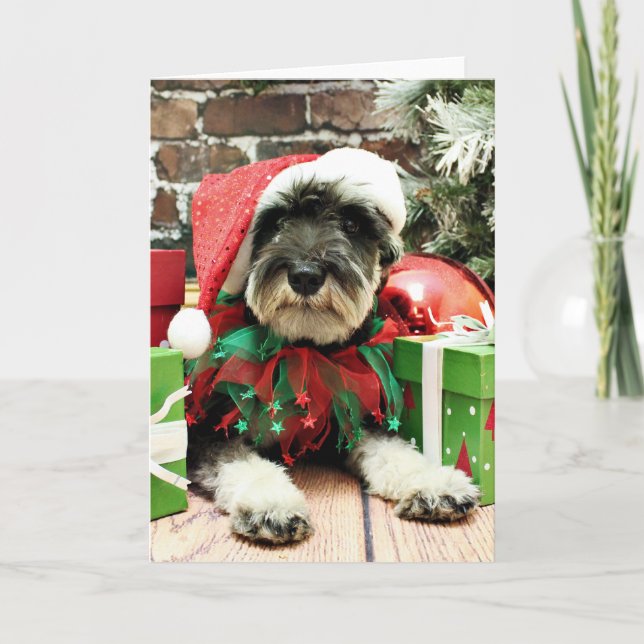 Christmas - Schnauzer - Tom Dooley Holiday Card (Front)