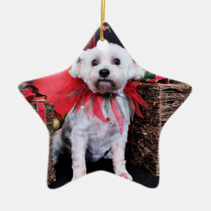 Christmas - Schnoodle - Zoey Ceramic Tree Decoration