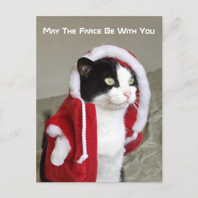 Christmas Sci-Fi Parody Cat Funny Post Card Funny (Front)