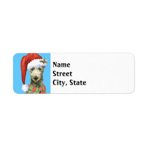 Christmas Scottish Deerhound